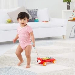 Skip Hop Xylophone 2 En 1 Explore & More -Skip Hop 0879674028760 2