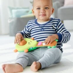 Skip Hop Jouet Musical Guitare Farmstand Rock-A-Mole Avocat 14 Skip Hop Jouet Musical Guitare Farmstand Rock-A-Mole Avocat -Skip Hop jouet musical guitare farmstand rock a mole avocat 6